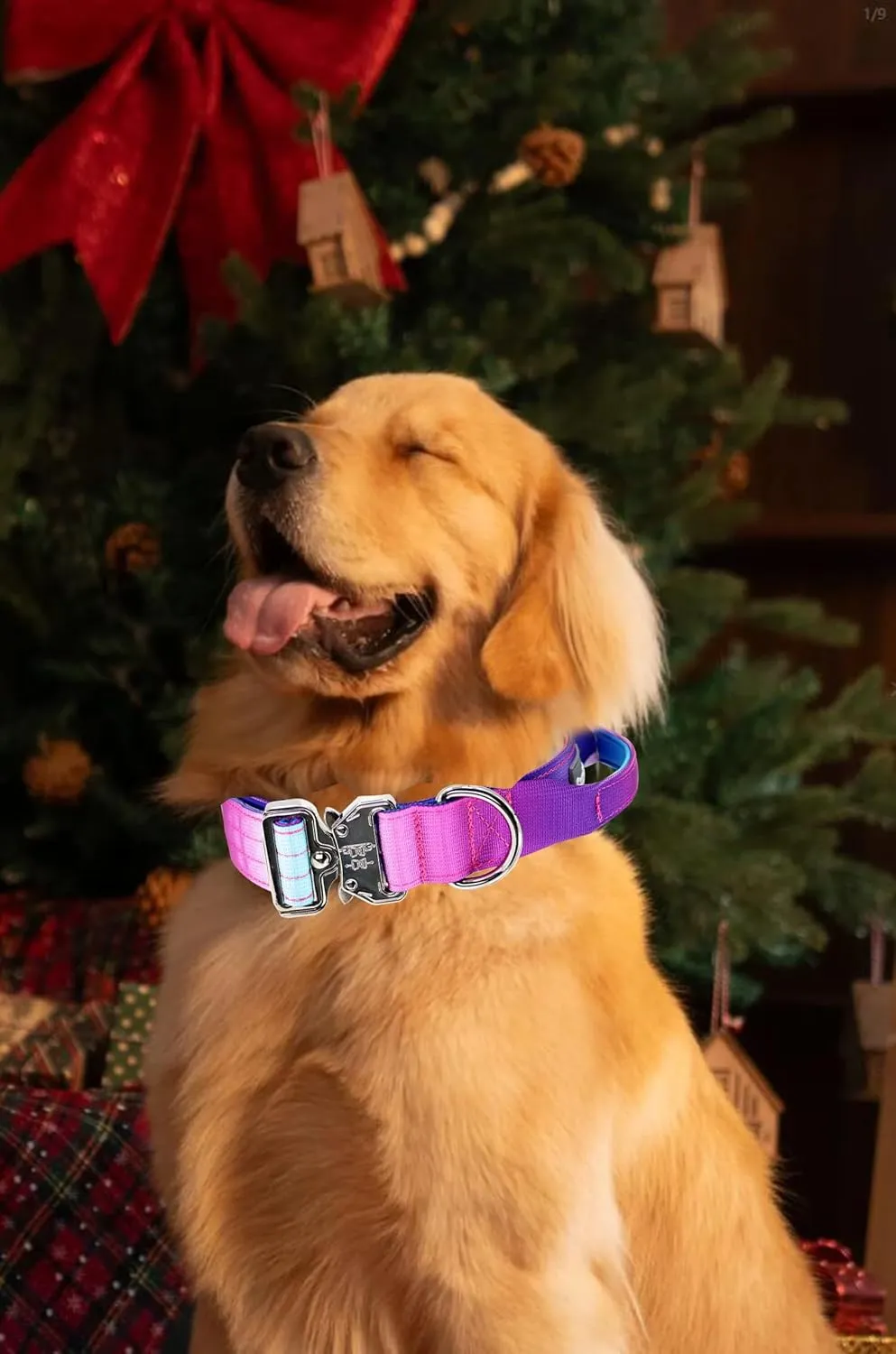 Tactical Dog Collar, Wide Thick Heavy Duty Dog Collar with Handle, Soft Neoprene Padded Military-Grade Nylon Training Collar with Quick Release Metal Buckle for Large Dogs(Purple, L,XL)